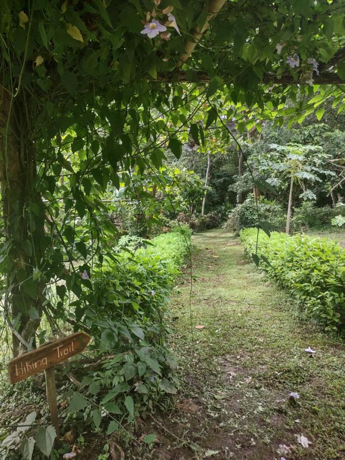 Finca Mystica Mérida Esterno foto