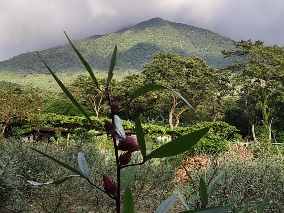 Finca Mystica Mérida Esterno foto