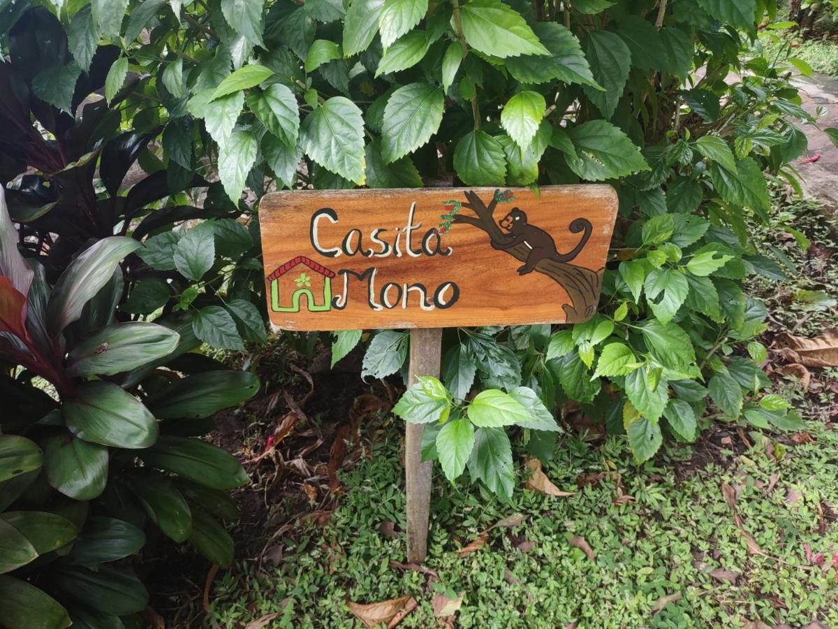 Finca Mystica Mérida Esterno foto