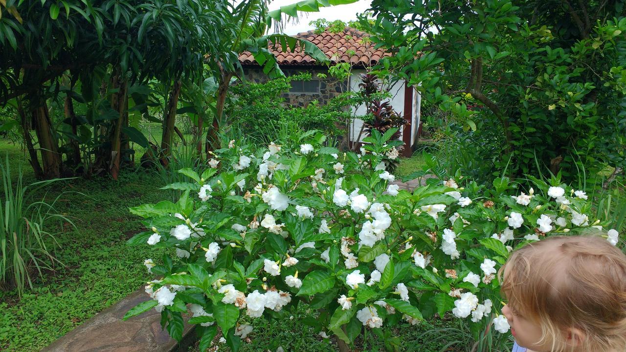 Finca Mystica Mérida Esterno foto