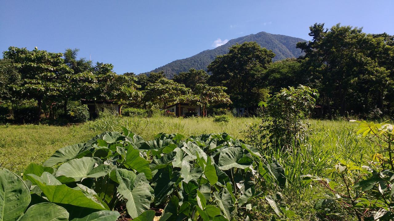 Finca Mystica Mérida Esterno foto